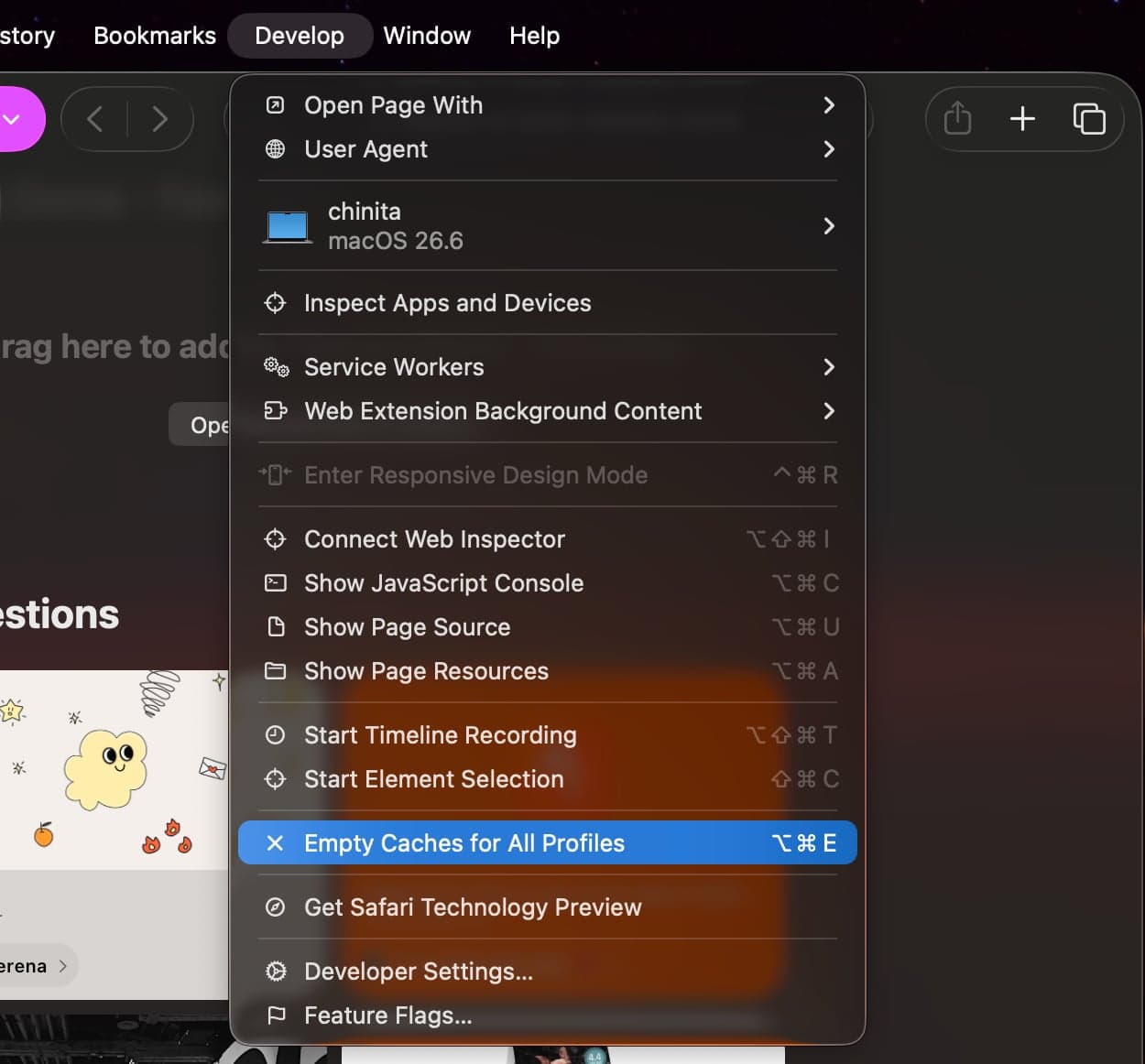 HOW TO CLEAR YOUR SAFARI CACHE WITHOUT NUKING YOUR LOGINS